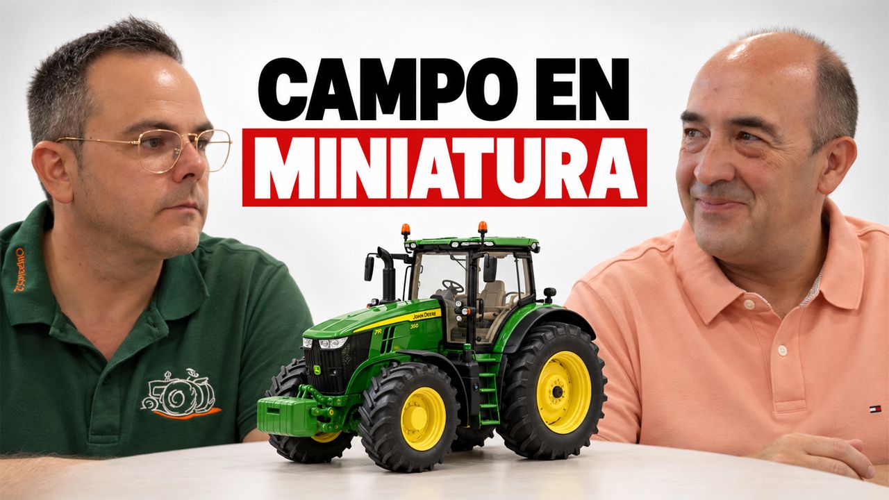 Miniatura de Pieza Única: Campo en miniatura
